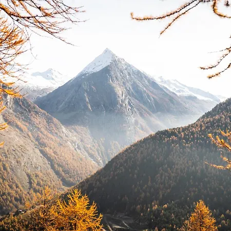 Faderhorn 8 * Saas-Almagell