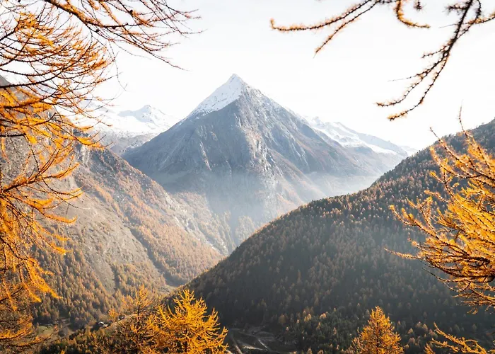 Faderhorn 8 * Saas-Almagell